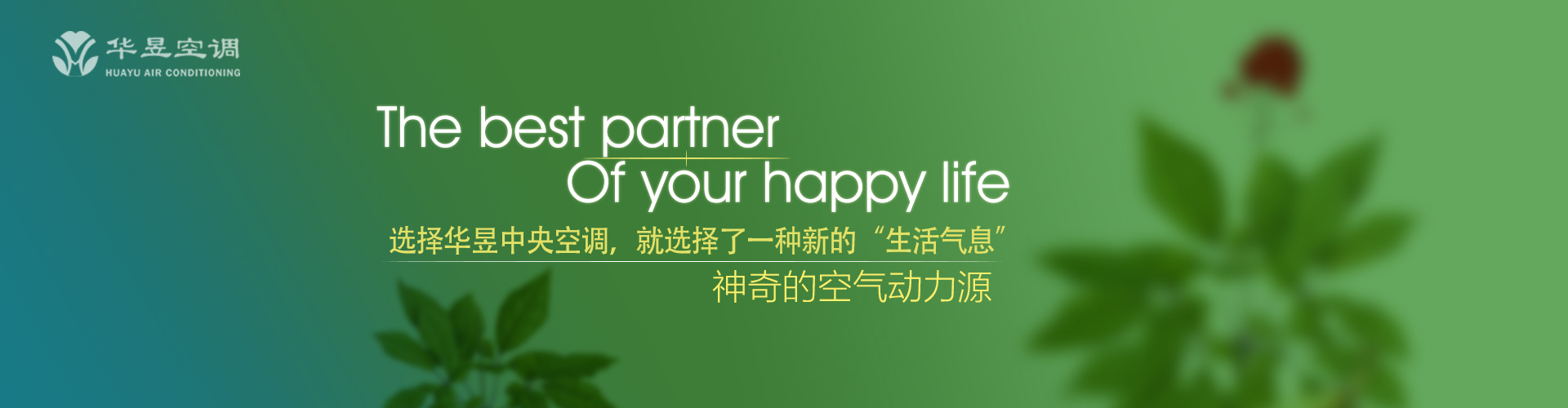 东补西凑网
